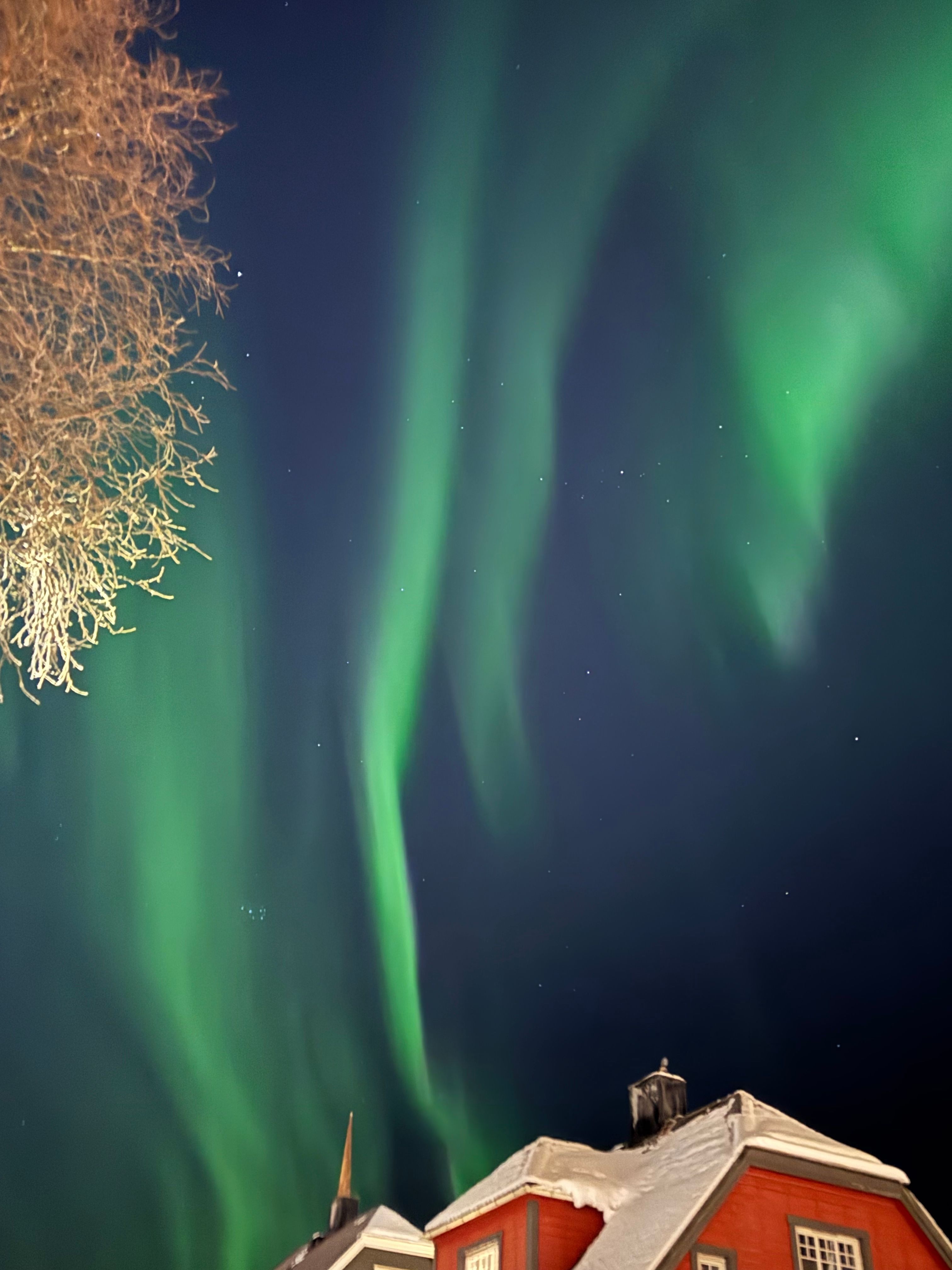 Aurora boreale nel cielo invernale norvegese