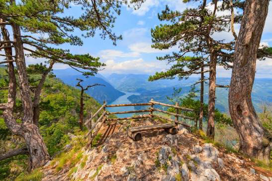 Parco Nazionale di Tara e Banjska Stena