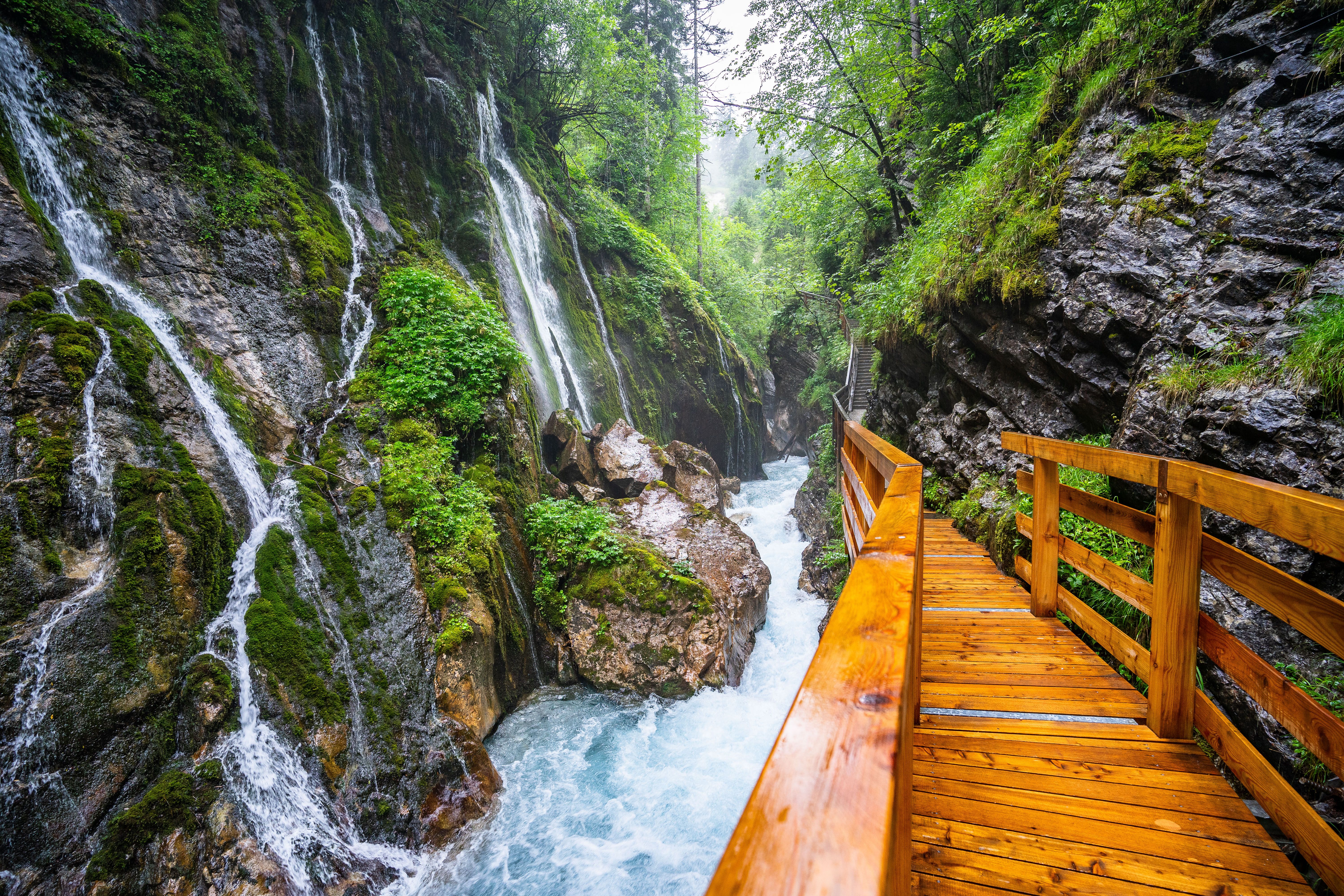 Passerelle in legno sopra il torrente nella gola di Vintgar
