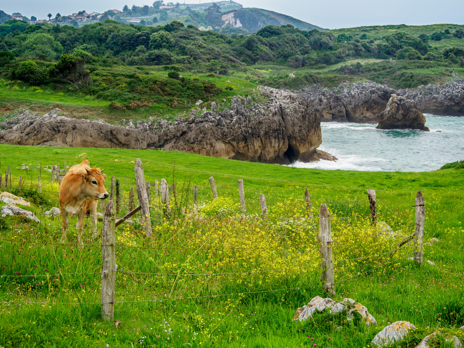 Costa naturale delle Asturie