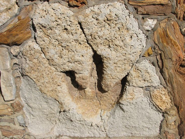 Impronte fossili di dinosauro nelle Asturie