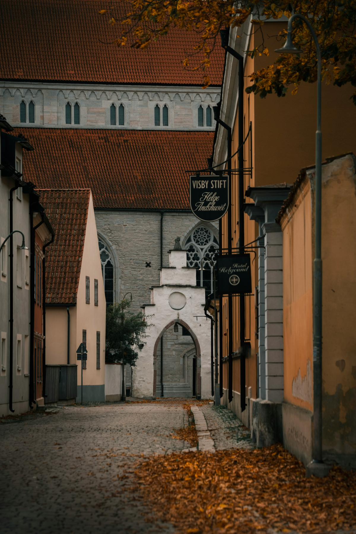 Vicoli medievali di Visby a Gotland