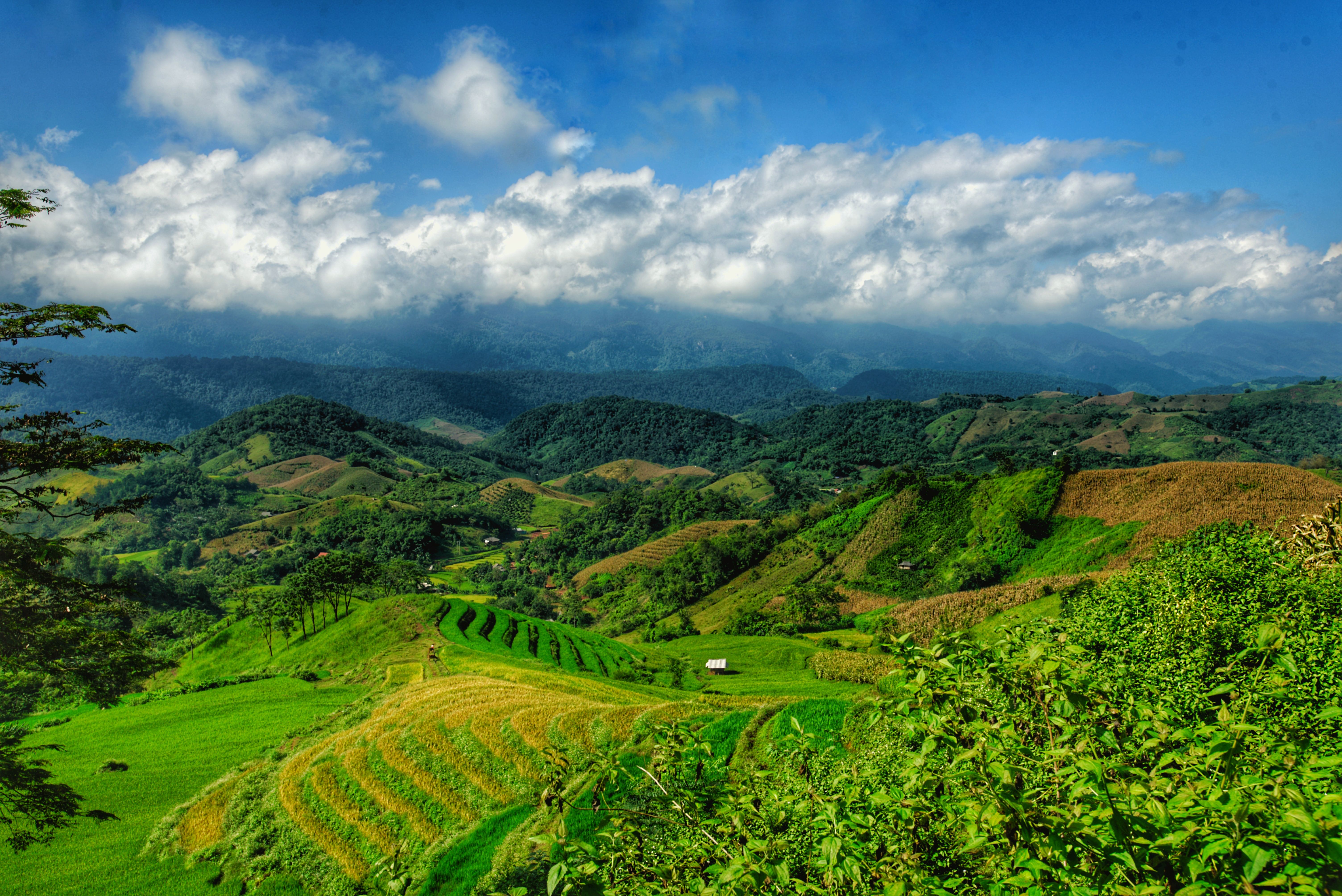 Paesaggio verde nelle montagne di Mae Sariang