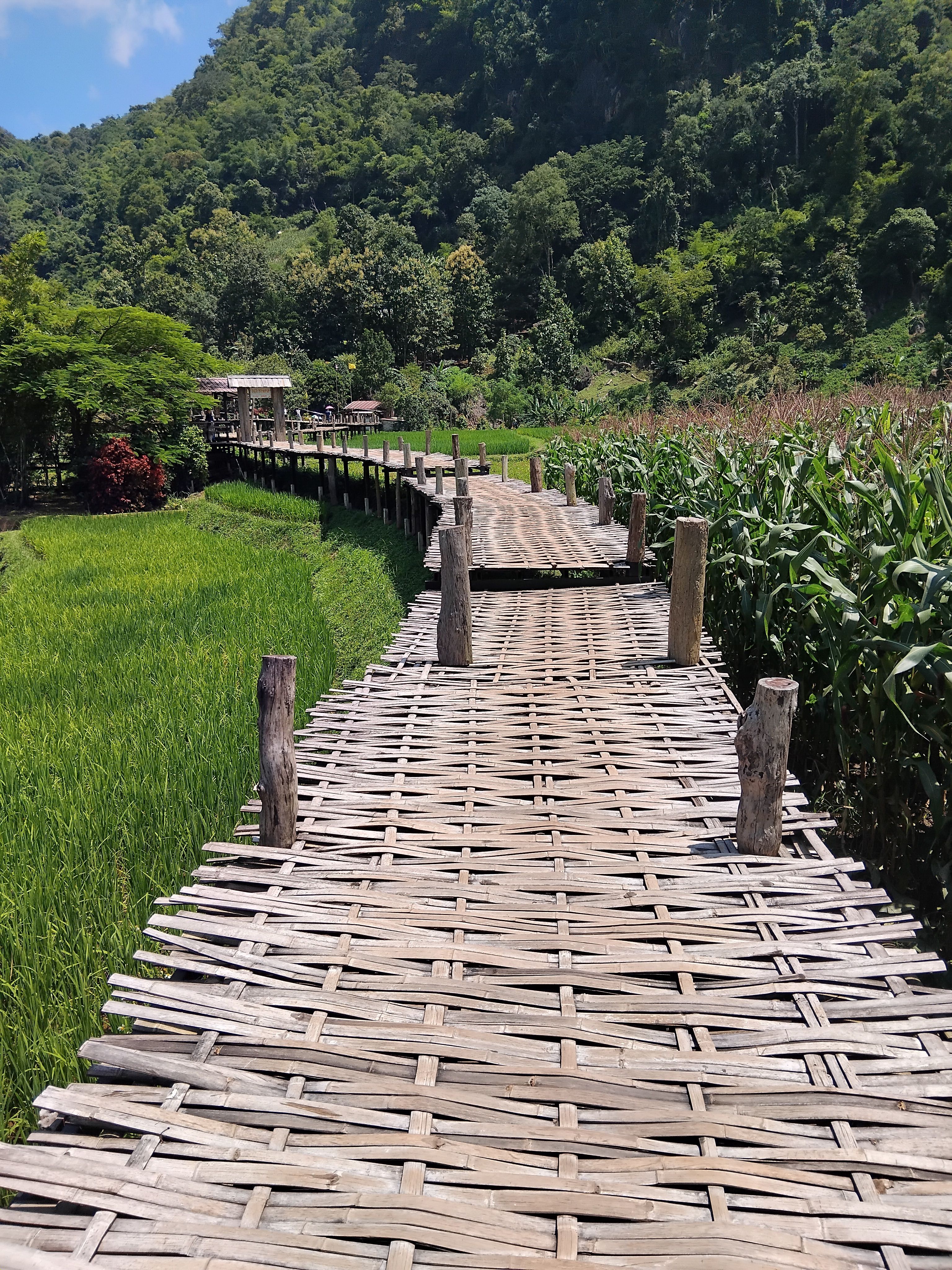 Ponte in bambù Su Tong Pae